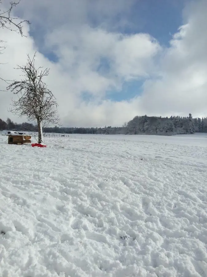 Holiday home Gite Les Chaumeix Prondines