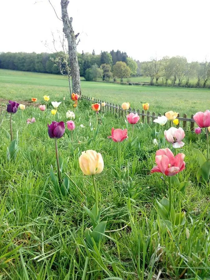 Ferienhaus gite les chaumeix Prondines